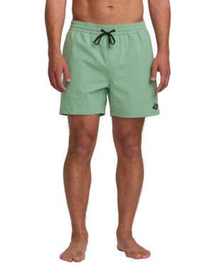 Billabong Mens Every Other Day LB Boardshort