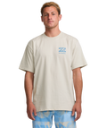 Billabong Mens Elements Regular SST
