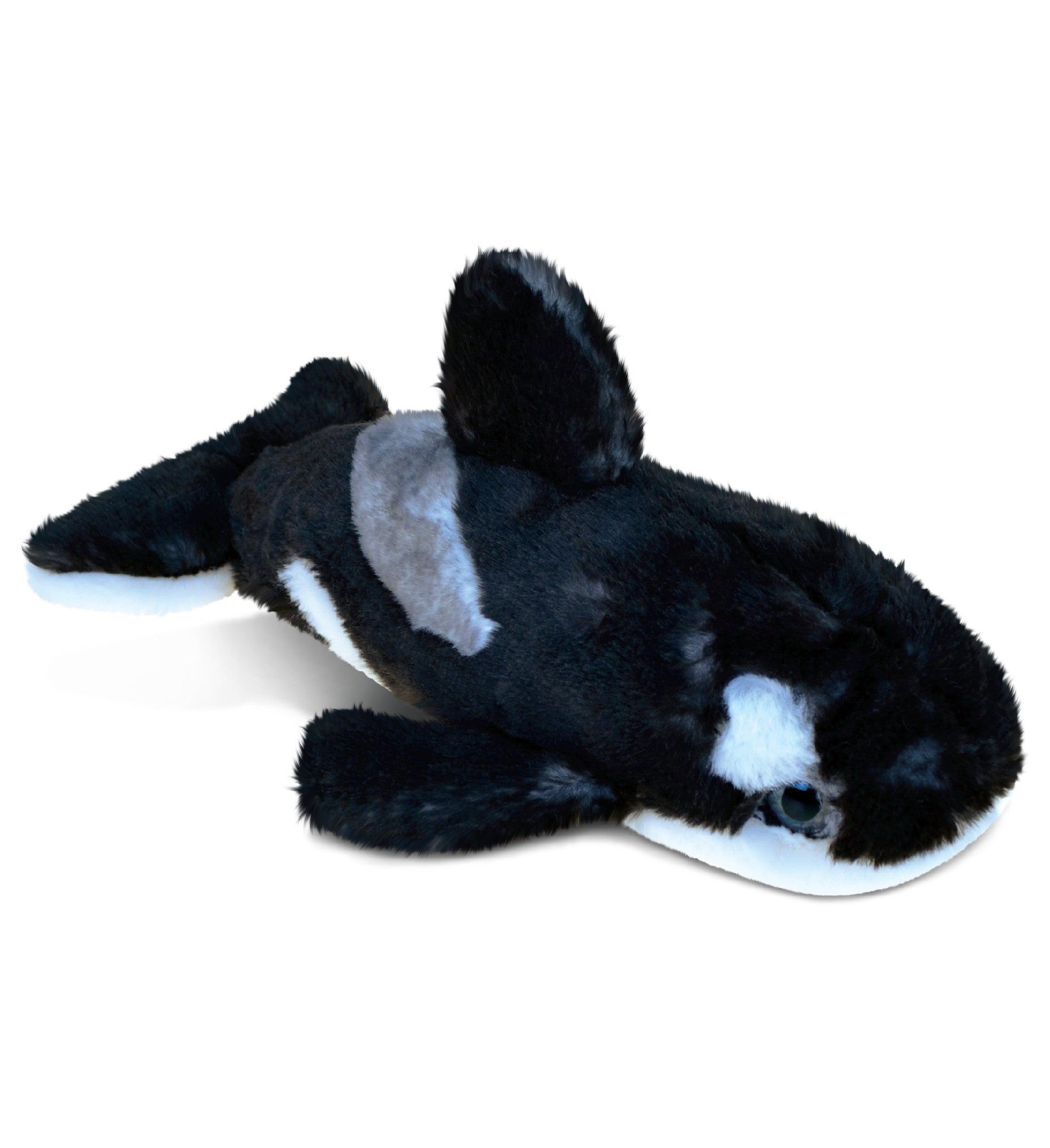 CoTa Big Eyes Plush Toys