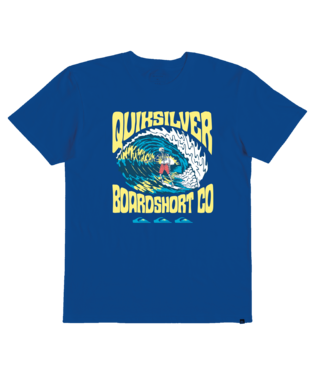 Quiksilver Higher Life Boys TS