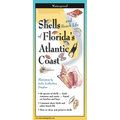 Earth Sky & Water Pamphlets, Sea Shells & Sea Turtles