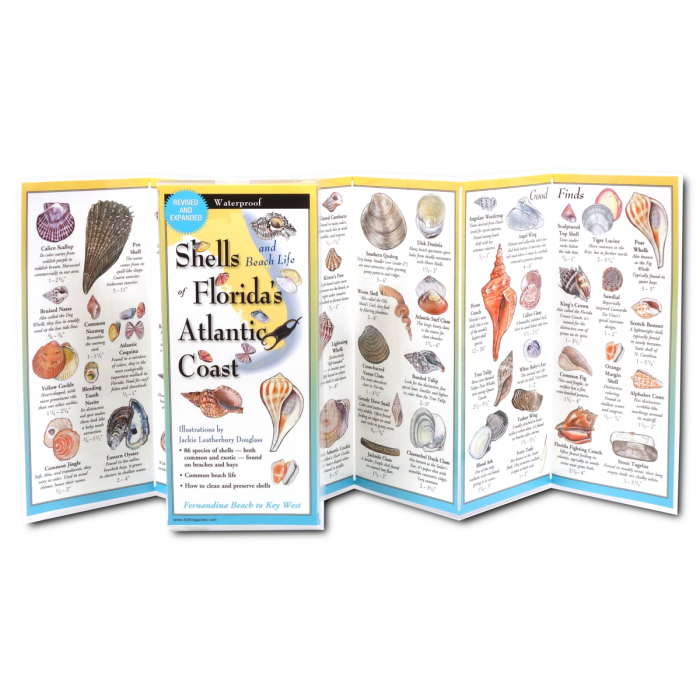 Earth Sky & Water Pamphlets, Sea Shells & Sea Turtles