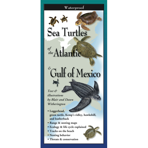 Earth Sky & Water Pamphlets, Sea Shells & Sea Turtles