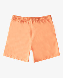 Billabong All Day LB Little Boys Shorts