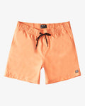 Billabong All Day LB Little Boys Shorts