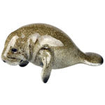 American Gift 7" Manatee