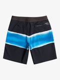 Quiksilver SurfSilk Airbrush Boys Boardshorts
