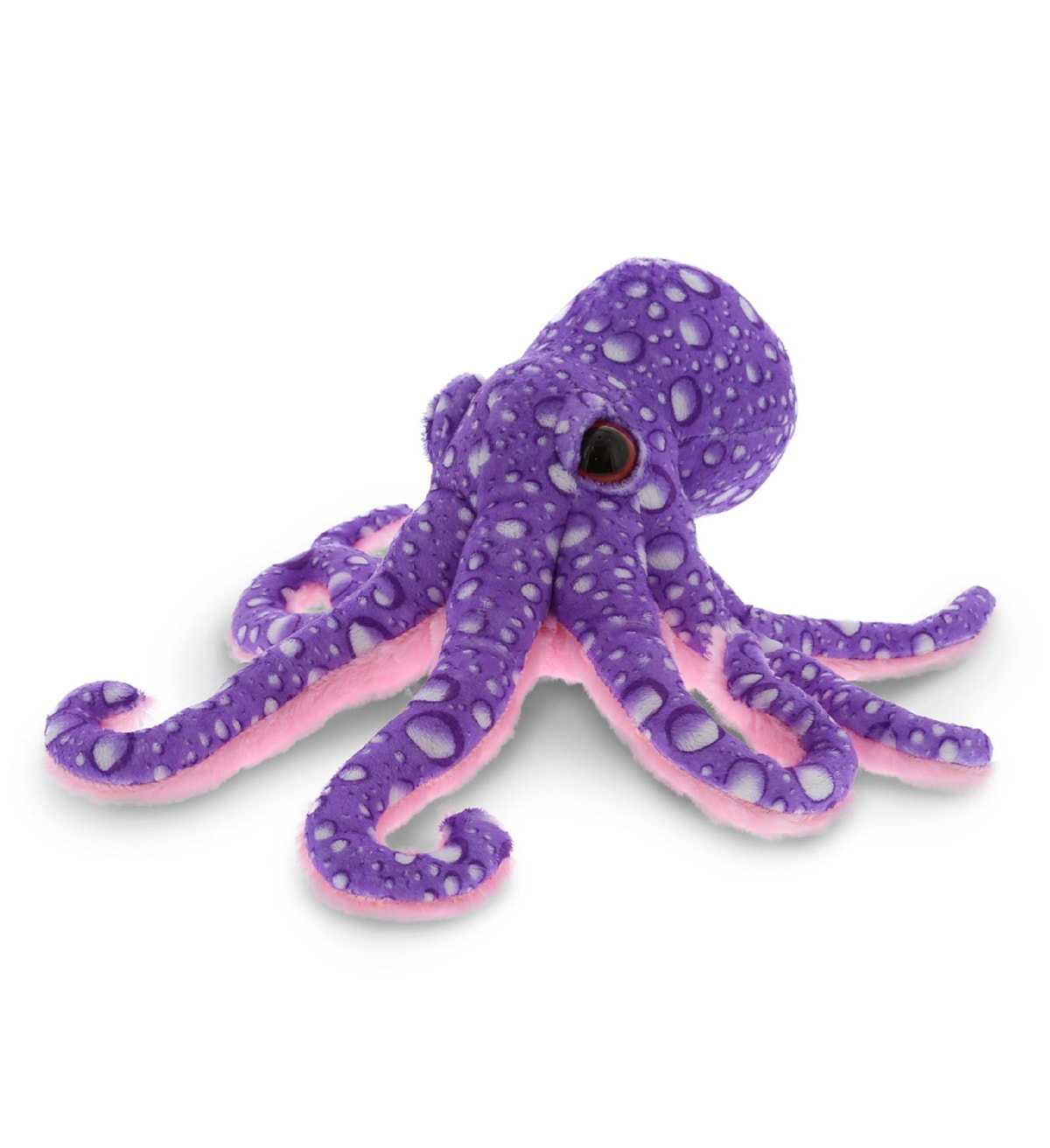 CoTa Big Eyes Plush Toys