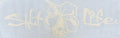 Salt Life Hibiscus Decal Medium SAD931