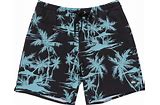 Quiksilver Men's Palms Volley 17