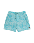 Quiksilver Surfsilk Mens Mix Volley 17