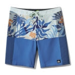 Quiksilver Highline Arch 19 Men's Boardshorts