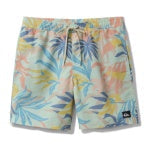 Quiksilver Everyday Volley 17 Shorts
