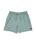 Quiksilver Everyday Volley 17 Shorts