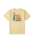 Quiksilver Shred Mens SST