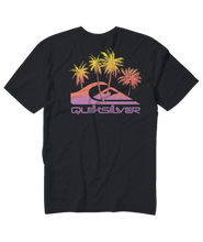 Load image into Gallery viewer, Quiksilver Pastime Paradise TS
